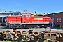 MaK 1000607 - DB Cargo "1094 002"
06.07.2021 - Cottbus, DB Fahrzeuginstandhaltung
Rudi Lautenbach