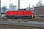 MaK 1000687 - Railion "295 005-3"
19.02.2006 - Brake (Weser), Bahnhof
Jens Vollertsen