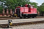 MaK 600224 - DB Schenker "363 635-4"
29.07.2009 - Maschen, Rangierbahnhof
Julius Kaiser