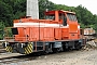 MaK 700049 - VTLT
09.08.2010 - Kiel-Wik
Tomke Scheel