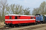 DWK 193 - VVM
16.04.2011 - Schönberg (Holstein)-Schönberger Strand
Tomke Scheel