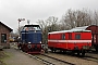 DWK 193 - VVM
02.12.2012 - Schönberg (Holstein)-Schönberger Strand
Tomke Scheel