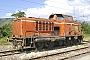 MaK 1000061 - SV "DD FMT BA 1087 A"
17.07.2009 - Vallo di Lucania
Werner Reckert