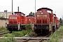 MaK 1000260 - Railion "290 502-4"
12.08.2007 - Dresden-Friedrichstadt
Torsten Frahn