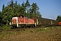 MaK 1000266 - DB Cargo "290 008-2"
06.07.2000 - Karlsdorf
Werner Brutzer