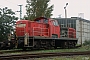 MaK 1000454 - DB Schenker "294 623-4"
13.10.2010 - Cottbus
Torsten Frahn