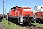 MaK 1000491 - DB Schenker "294 660-6"
21.07.2013 - Cottbus, Ausbesserungswerk
Thomas Wohlfarth