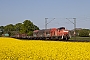 MaK 1000555 - DB Cargo "294 747-1"
28.04.2026 - Meerbusch-Ossum-BösinghovenIngmar Weidig