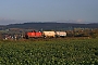 MaK 1000569 - DB Schenker "294 771-1"
30.10.2009 - bei Benhausen
Tobias Pokallus