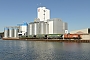MaK 1000596 - RVM "61"
21.03.2025 - Spelle-Venhaus, HafenMatthias Forthaus