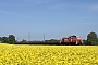 MaK 1000668 - DB Cargo "294 893-3"
28.04.2022 - Meerbusch-Osterrath
Denis Sobocinski