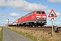 MaK 2000053 - DB AutoZug "215 906-9"
15.04.2006 - Emmelsbüll-Horsbüll, Betriebsbahnhof Lehnshallig
Tomke Scheel