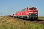 MaK 2000067 - DB AutoZug "215 908-5"
06.08.2006 - Klanxbüll
Tomke Scheel