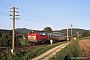 MaK 2000067 - DB Regio "215 062-1"
12.09.2002 - Bad Salzschlirf
Ulrich Budde