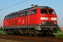 MaK 2000078 - Railion "225 073-6"
07.05.2008 - Dieburg
Kurt Sattig