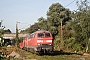 MaK 2000086 - Railion "225 081-9"
11.09.2008 - Bottrop-Welheimer Mark
Ingmar Weidig