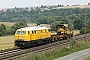 MaK 2000099 - DBG "218 287-1"
13.08.2010 - Altenbrunslar
Sebastian Hasecke