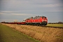 MaK 2000112 - DB Fernverkehr "218 390-3"
20.02.2021 - Emmelsbüll-Horsbüll (Niebüll), BÜ TriangelJens Vollertsen