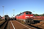 MaK 2000121 - DB Regio "218 490-1"
15.10.2005 - Niebüll, Bahnhof
Peter Wegner