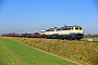 MaK 2000121 - DB Fernverkehr "218 490-1"
14.10.2018 - Emmelsbüll-Horsbüll (Niebüll), Bahnübergang Triangel
Jens Vollertsen
