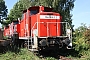 MaK 600356 - DB Schenker "364 909-2
"
19.09.2009 - Cottbus
Thomas Wohlfarth
