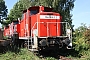 MaK 600356 - DB Schenker "364 909-2
"
19.09.2009 - Cottbus
Thomas Wohlfarth