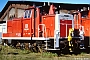 MaK 600366 - DB Cargo "364 919-1"
16.10.1999 - Wustermark, Betriebshof
George Walker