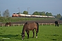 SFT 1000901 - RBH Logistics
25.04.2014 - bei Recklinghausen-Börste
Werner Wölke