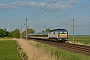 SFT 30012 - NOB "DE 2700-08"
17.05.2014 - HerzhornRalph Timmermann