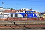 Vossloh 5601971 - Ferrotract "92 87 0001 043-4"
06.03.2014 - Nevers
Theo Stolz